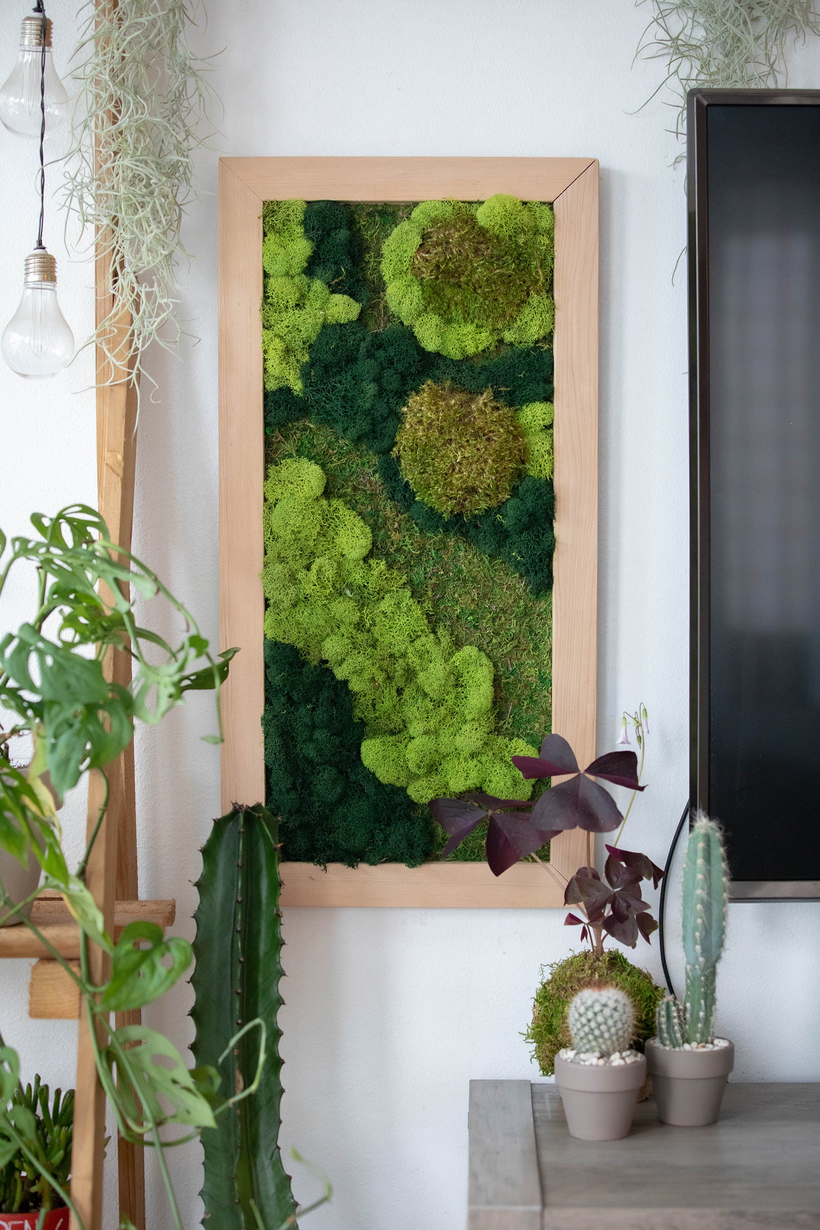 Hamsa - Moss Wall Decor - PLANT THE FUTURE